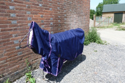 Saxon \'600 Combo\' Navy with Purple trim Turnout Rug 6\'0